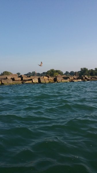 20170815_183700.jpg