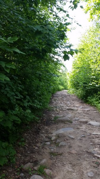 20170815_150057.jpg