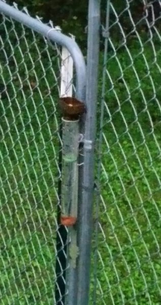 3 inches at 738pm.jpg