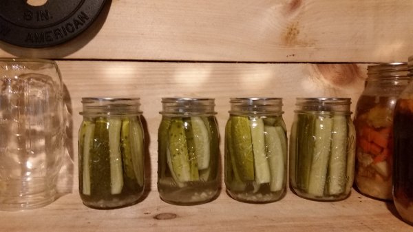 20170820_123833.jpg