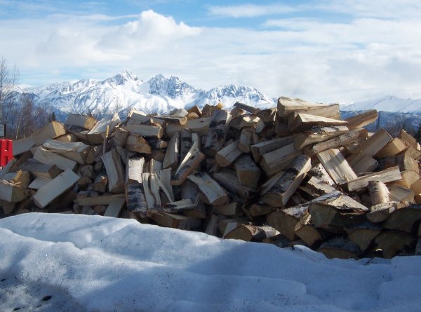 Dave stack in AK.JPG
