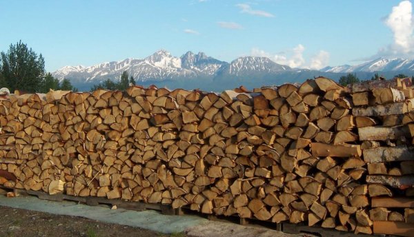 Dave's stack in AK.jpg