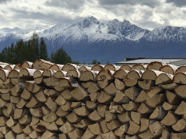 Dave's wood pile.JPG