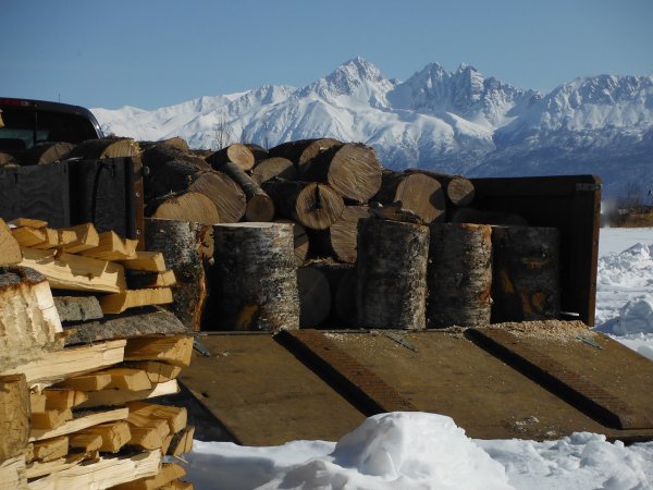 Daves wood.JPG