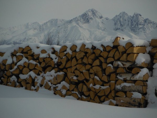 Wntr:Wood.JPG