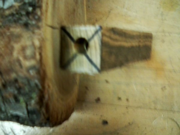 EZ pen blank tubes not trimmed.jpg