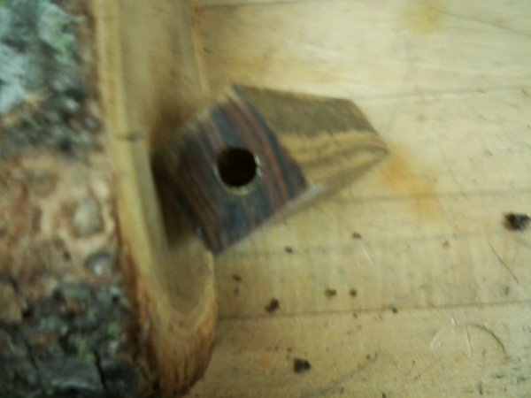 EZ blank with tube not trimmed.jpg