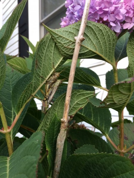 FullSizeRender 3.jpg