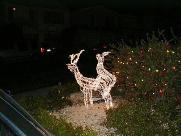 redneckxmas5.jpg