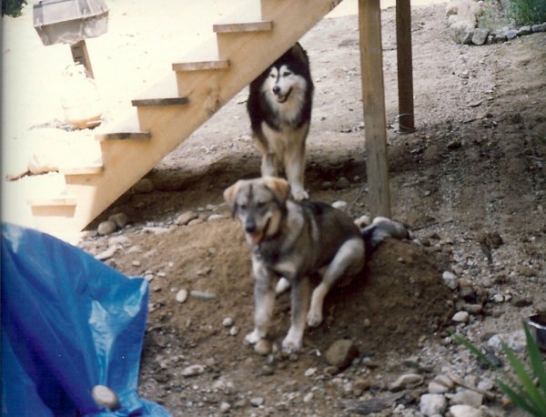 Bogie and Niki 1989.jpg