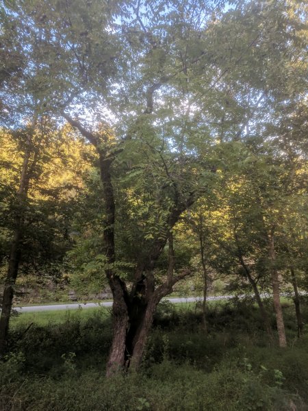 IMG_20170910_175109.jpg