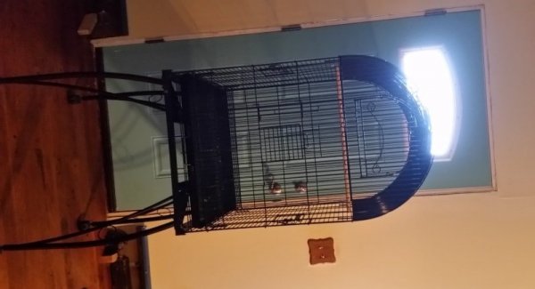 Ziva big cage front of door-trnd.jpg