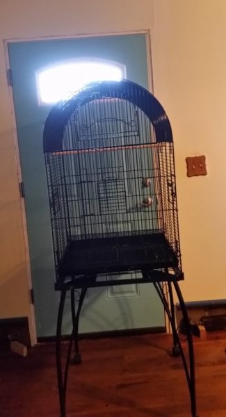 Ziva big cage front of door.jpg