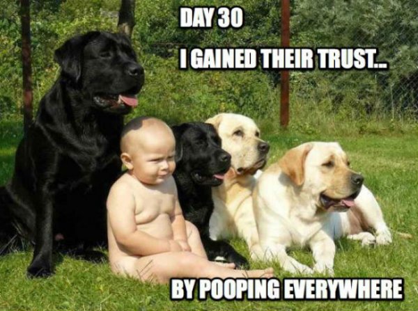 day-30-i-gained-their-trust-baby.jpg