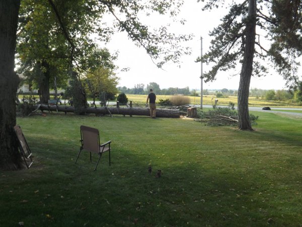 DSCF3094.JPG