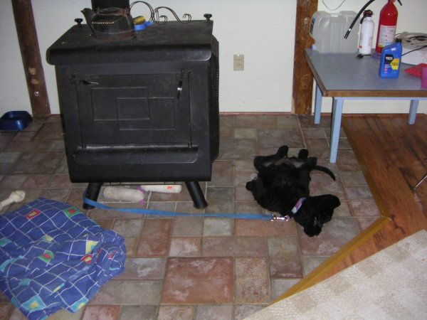 Picture 049.jpg