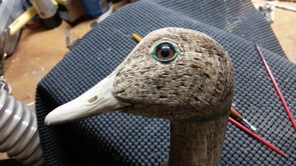 20171006_193839.jpg
