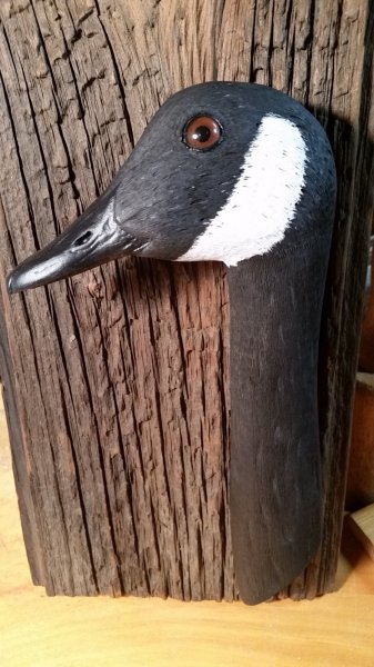 20171008_173531.jpg