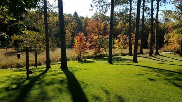20171008_102839-2016x1134.jpg