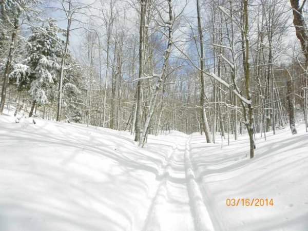 100_8771.JPG