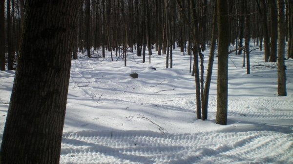 100_0009.JPG
