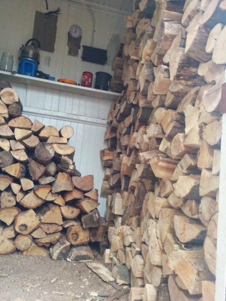 20140301 Firewood (3 of 7).jpg