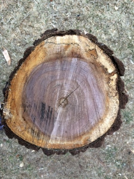 Wood ID2_grain_resize.JPG