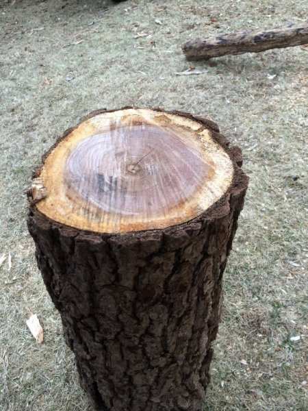 Wood ID3_side_resize.JPG