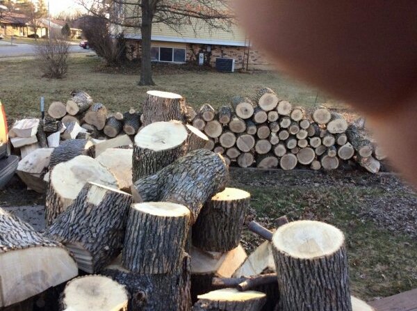 2014-03-19 07.21.34.jpg