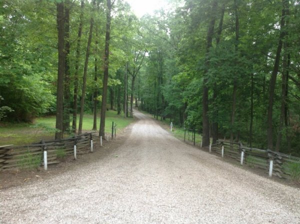 3 (1024x765) (2).jpg