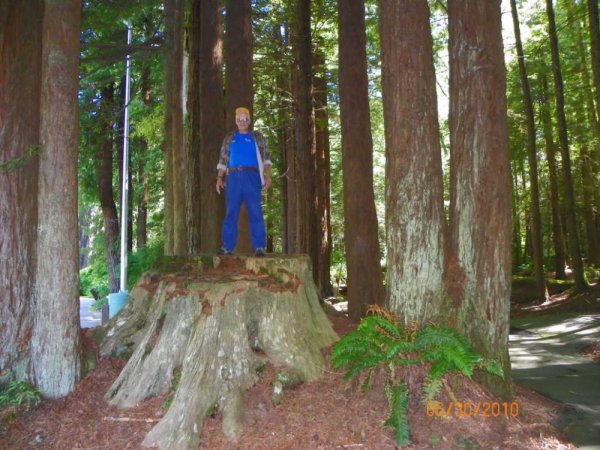 Denny on Redwood stump-2.JPG