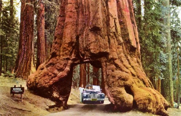 Yosemite-California.jpg