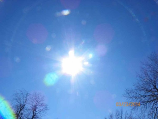 100_8799.JPG