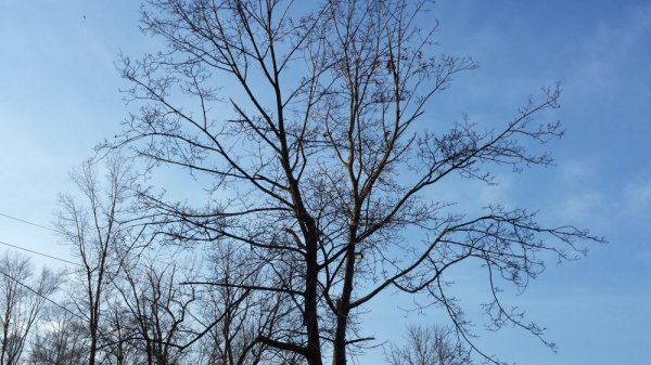 20140322_085353.jpg