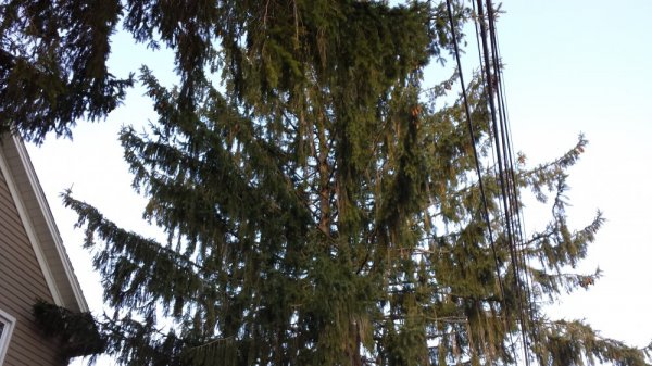 20140322_083840.jpg