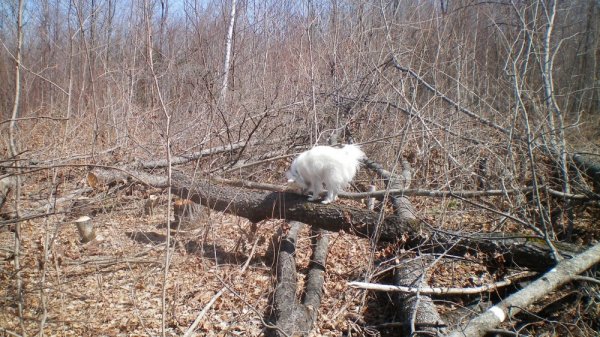 100_0072.JPG