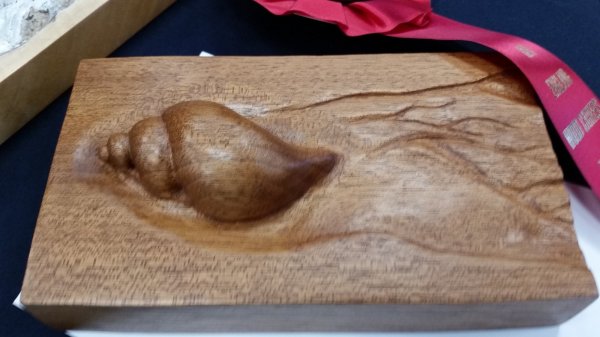 20171015_142901.jpg