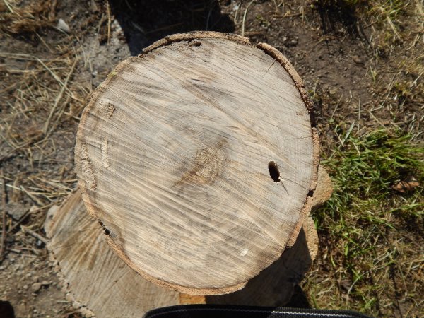 DSCN0414.JPG
