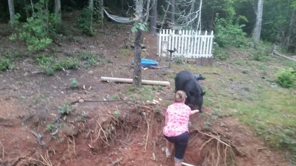 20170904_192459_resized (2).jpg