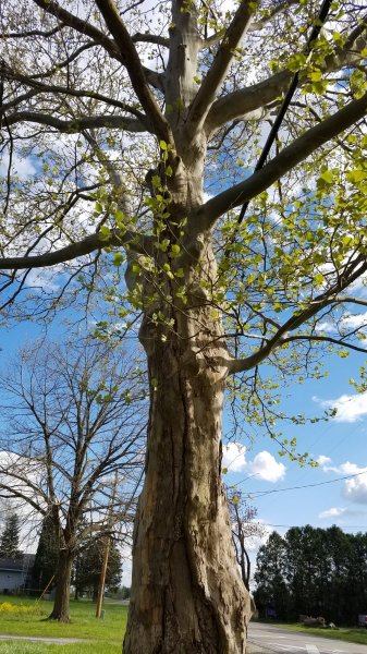 20170506_172909.jpg