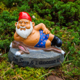 BMGA-SI-SexyandIGnomeIt-Gnome-Life1-550-265x265.jpg