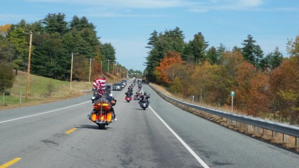 line of bikes on road.jpg