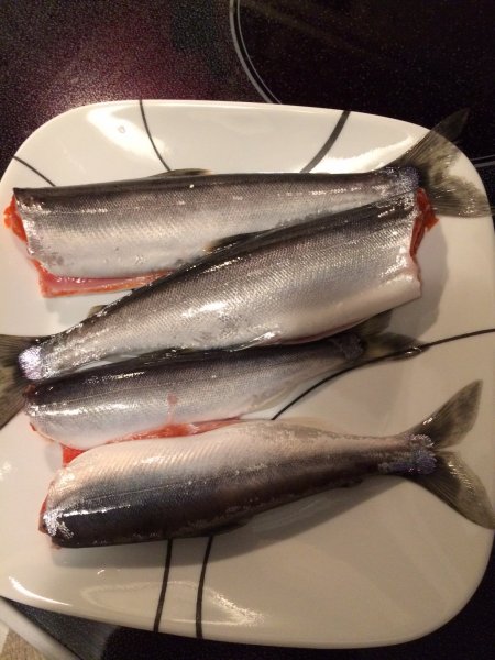 plate of kokanee.JPG