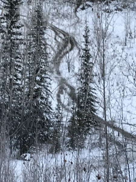 3B7F3705-D5AA-4BC0-BB49-065C075431F1.jpeg