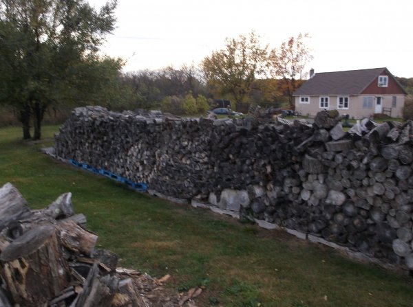 DSCF0211.JPG
