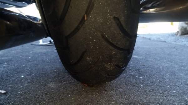 New rear tire Dunlop American Elite.jpg