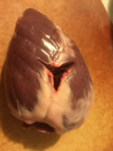 Copy of IMG_0266.jpg