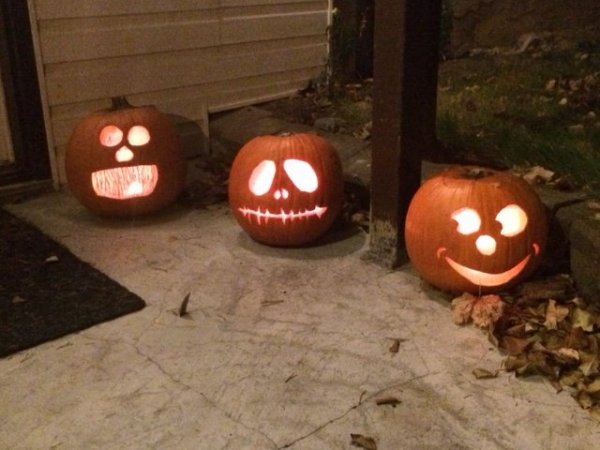 2017 pumpkins.JPG