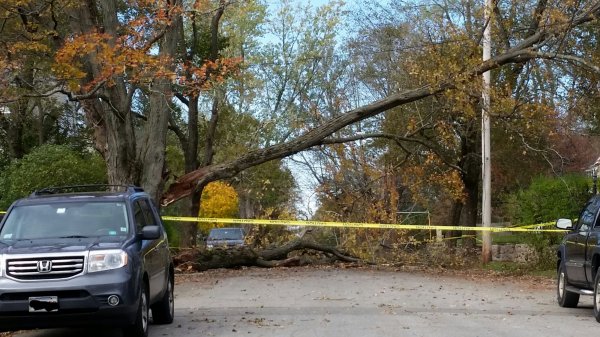 2017-11-01 15.29.58.jpg