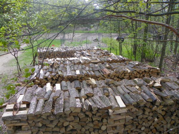 Wood-2009a.JPG